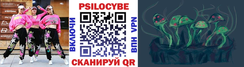 Псилоцибиновые грибы Cubensis  Кадников 